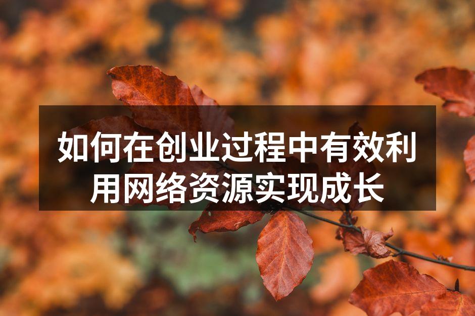 如何在创业过程中有效利用网络资源实现成长