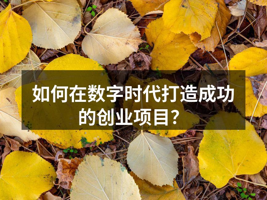 如何在数字时代打造成功的创业项目？